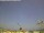 Webcam in Loano, 4.6 km
