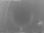 Webcam in Loano, 0.1 km