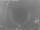 Webcam in Loano, 1.4 mi away