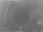 Webcam in Loano, 0.1 km
