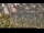 Webcam in June Lake, California, 31.4 mi away