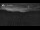 Webcam in June Lake, California, 58.5 mi away