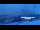 Webcam in Tromsø, 0.8 mi away