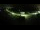 Webcam in Peuerbach, 7.3 mi away