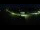 Webcam in Peuerbach, 19.7 km