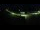 Webcam in Peuerbach, 12.3 km entfernt