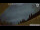 Webcam in Neumarkt i.d.OPf., 9.6 mi away