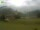 Webcam in Münstertal (Schwarzwald), 18.7 km
