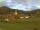 Webcam in Münstertal (Schwarzwald), 16.4 km