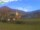 Webcam in Münstertal (Schwarzwald), 11.4 km entfernt