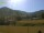 Webcam in Münstertal (Schwarzwald), 11 km entfernt