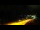 Webcam in Hothan Heights, 97.3 mi away
