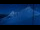 Webcam in Passe Tonale, 4.3 km