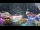 Webcam in Parentis-en-Born, 3.5 mi away