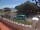 Webcam in Gordon's Bay, 46.8 km entfernt