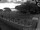 Webcam in Gordon's Bay, 49.9 km