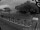 Webcam in Gordon's Bay, 18.1 mi away