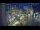 Webcam in Oldenburg, 10.6 mi away