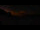 Webcam in Serre Chevalier, 5.3 km entfernt