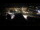 Webcam in Ahrntal, 5.2 mi away