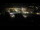 Webcam in Ahrntal, 8.3 km entfernt