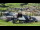 Webcam in Ahrntal, 1.3 km