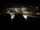 Webcam in Ahrntal, 10.6 km entfernt