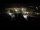 Webcam in Ahrntal, 3.9 km entfernt