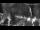 Webcam in El Port de la Selva, 3.7 mi away