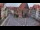 Webcam in Hildesheim, 0 km