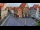 Webcam in Hildesheim, 20.7 km