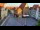 Webcam in Hildesheim, 0 mi away