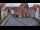 Webcam in Hildesheim, 9.9 mi away