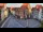 Webcam in Hildesheim, 0.1 mi away