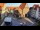 Webcam in Hildesheim, 0.1 mi away