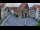 Webcam in Hildesheim, 0.1 mi away