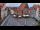 Webcam in Hildesheim, 9 mi away