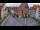 Webcam in Hildesheim, 11.9 mi away