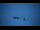 Webcam in Sölden, 0.9 km