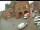 Webcam in Gadebusch, 0.2 km