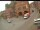 Webcam in Gadebusch, 0.2 km