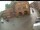 Webcam in Gadebusch, 26.2 km