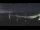 Webcam in Beaumaris, 277.9 mi away