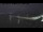 Webcam in Beaumaris, 233.3 km entfernt