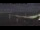 Webcam in Beaumaris, 259.7 mi away