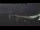 Webcam in Beaumaris, 91.7 km