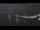 Webcam in Beaumaris, 721.4 km