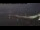 Webcam in Beaumaris, 475 km