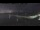 Webcam in Beaumaris, 447.4 km