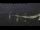Webcam in Beaumaris, 59.5 mi away